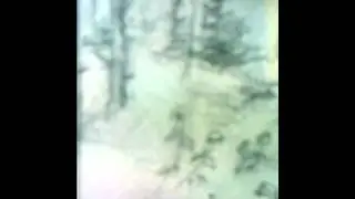 Люблю  рыбалку