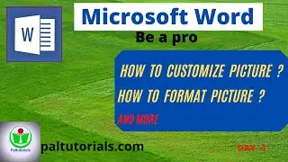 HOW TO CUSTOMIZE AND FORMAT PICTURES IN MS WORD I MICROSOFT WORD I BEGINNER TO ADVANCE