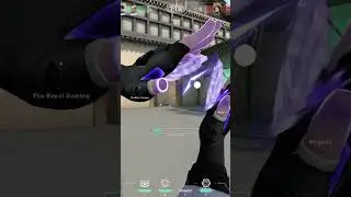 ACE🥺 Curse ISO 4k 