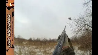 ОХОТА на ФАЗАНА по снегу и кряква 
