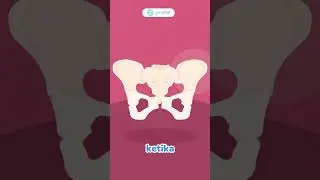 Posisi Janin Optimal jelang Persalinan