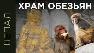 NEPAL VLOG 2