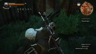 Геральт из Ривии, думает что он летает/ Geralt flying