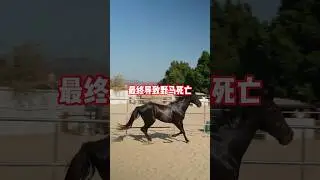 《蝙蝠和野马的故事》为什么没有管理情好情绪伤害会更加大！#潜意识 #逆向思维 #心理学 #情绪管理 #情感故事 #情感 #人际关系 #看清一个人