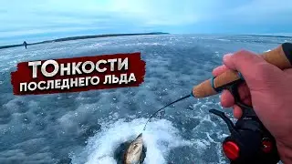 В ГЛУХОМ коряжнике ПОЛЧИЩА рыбы / ТОНКОСТИ ловли ПОСЛЕДНЕГО льда
