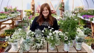 🌙 Proven Winners® Moon Garden Container | White & Silver Annuals for Evening Glow