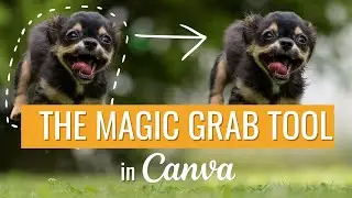 Relocate Subjects with the Canva Magic Grab Tool!