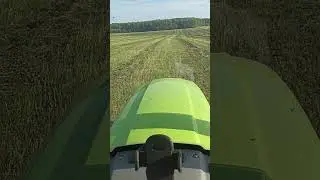 16 июля 2024 г.