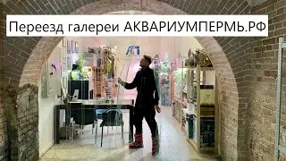 Перевозим офис АКВАРИУМПЕРМЬ.РФ в новое место , на улице -25 градусов