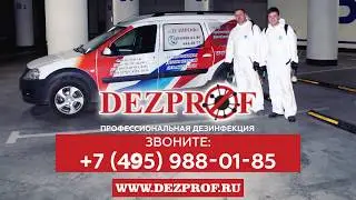 Уничтожение тараканов и клопов ДЕЗПРОФ Москва