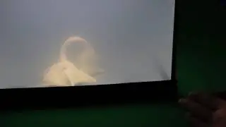 Как сделать гомункула 10