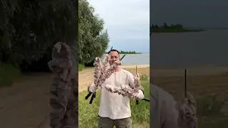 Kefir shashlik! 
