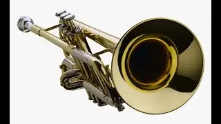 Kontakt Trumpet Sampler (1link) 2021