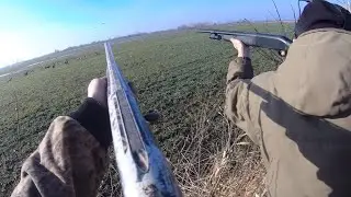 ВЕСЕННЯЯ ОХОТА НА ГУСЯ И СЕЛЕЗЕНЯ НА БОЛОТЕ И В ПОЛЯХ!!!ЛЮЛЯ-КЕБАБ ИЗ ГУСЯ И УТКИ!!!!