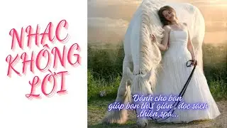 NHẠC KHÔNG LỜI  GIÚP THƯ GIÃN,ĐỌC SÁCH,THIỀN,SPA #nhackhongloi #music #thugian#instrumental #chill