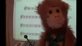 Mimi the Monkey Reads Music