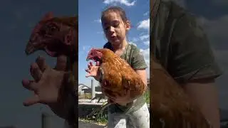 Укротительница кур#дети#Самара#куры#