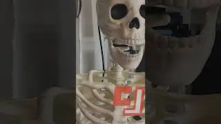 AI Skeleton Sings Chasin You Short #animatronics
