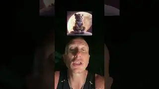 BabyBNBTiger и новый ATH 