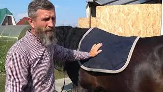 Седло Казачьего типа.