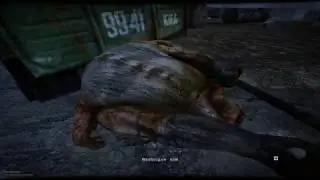 S.T.A.L.K.E.R. - Dead Air Rebalance  режим одна жизнь за монолит ч1 встреча с псевдогигантом