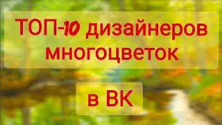 ТОП-10 дизайнеров многоцветных схем Вконтакте