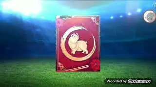 تفتيح بكجات حدث lunar new year نار بكجات ناااااار fifa football 2019