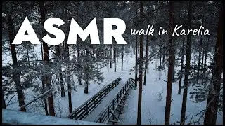 ASMR прогулка по Экотропе в Карелии зимой | winter walk in Karelia