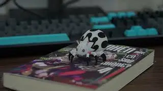 NAIWA