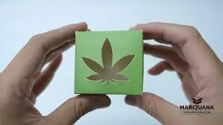 Concentrate Container Box with Custom-Shaped Die-Cut Window