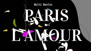 Paris est l’amour, il me suit jour et nuit ( official video )