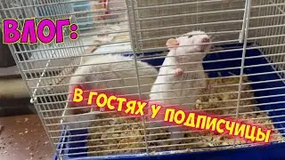 СХОДИЛИ С ДЕВОЧКАМИ В САУНУ/ СЪЕЗДИЛИ В ГОСТИ К ПОДПИСЧИЦЫ МАРИНЕ ОБЗОР ПОДАРКА ОТ ПОДРУГИ НА 8МАРТА