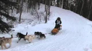 Iditarod 2011-Corral Hill---Matt Giblin