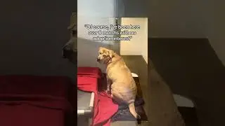 Bronson's Been Waiting for Over 8 Months...