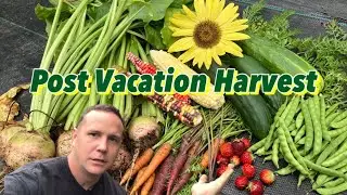 DID IT SURVIVE! Post Vacation Homestead Check.