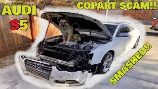 I Bought a SMASHED AUDI S5 from COPART and its ALL BAD! COPART SCAM!!