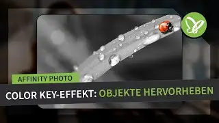 Affinity Photo-Tutorial: Best of Hacks – Color Key-Effekt