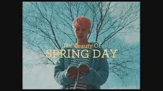 The Beauty Of ｢'봄날' Spring Day｣