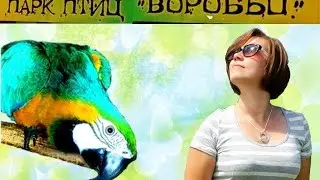Парк птиц/birds park