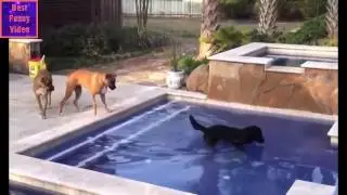 Funny Fail compilation
