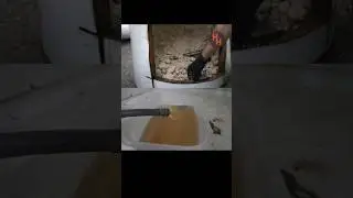 Why Flush Your Hot Water Heater? 🔥💦