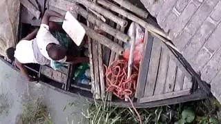 Catching live Illish (Hilsa) Fish