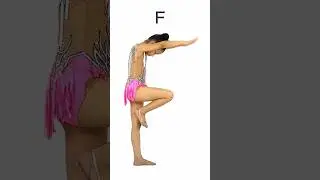 Human ABC (Letter F)