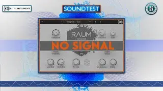 Native Instruments RAUM On Vocal And Guitar - SOUNDTEST