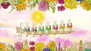 Pure Notes Collection