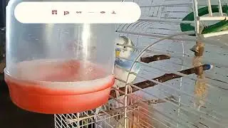 ЗАПОРОЖЬЕ БАБУРКА НОЧЬ УЖАС И СТРАХ