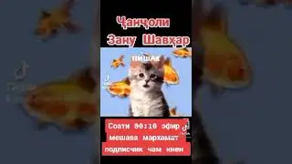 11 октября 2023 г.