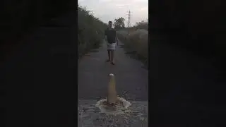 Coke and mentos experiment (AMAZING RESULTS) Didn't think it would be this good #experiments #shorts