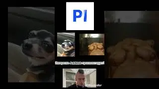 #playerok #рек
