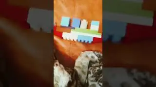 нств британик